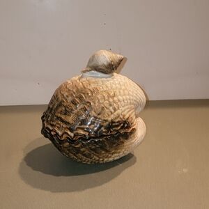 Vintage Rustic Brown Ceramic Shell Art Center PieceWith Covered Lid Italian Made